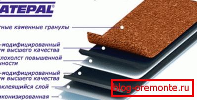 Структура гнуткай чарапіцы
