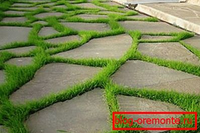 Фота прывабнага пакрыцця з бетону і травы Фота прывабнага пакрыцця з бетону і травы