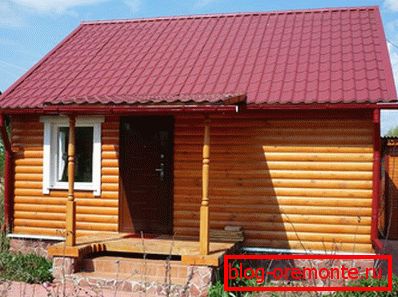 чырвоная чарапіца