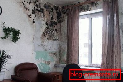 Аматарскае фота бетонных сцен здзіўленых грыбком з-за падвышанай волкасці Аматарскае фота бетонных сцен здзіўленых грыбком з-за падвышанай волкасці