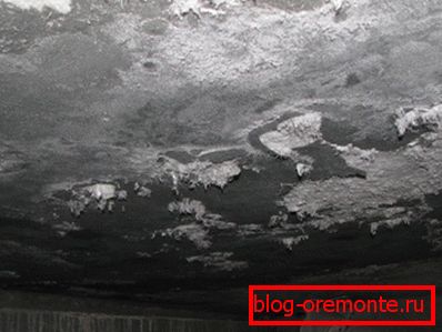 Высолы на столі склепа. Высолы на столі склепа.